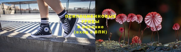 прущий лед Нефтегорск
