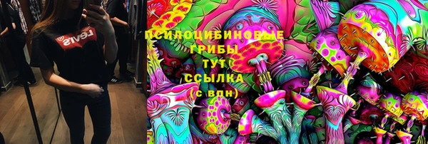 ECSTASY Нея