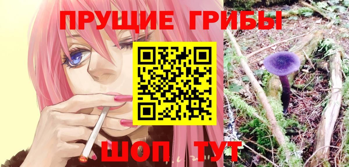 Галлюциногенные грибы Psilocybine cubensis Новый Уренгой