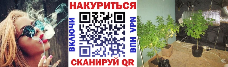 купить наркотик  Новый Уренгой  Марихуана планчик 